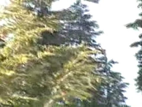 Nissan Mammoth Challenge Freeride World Tour