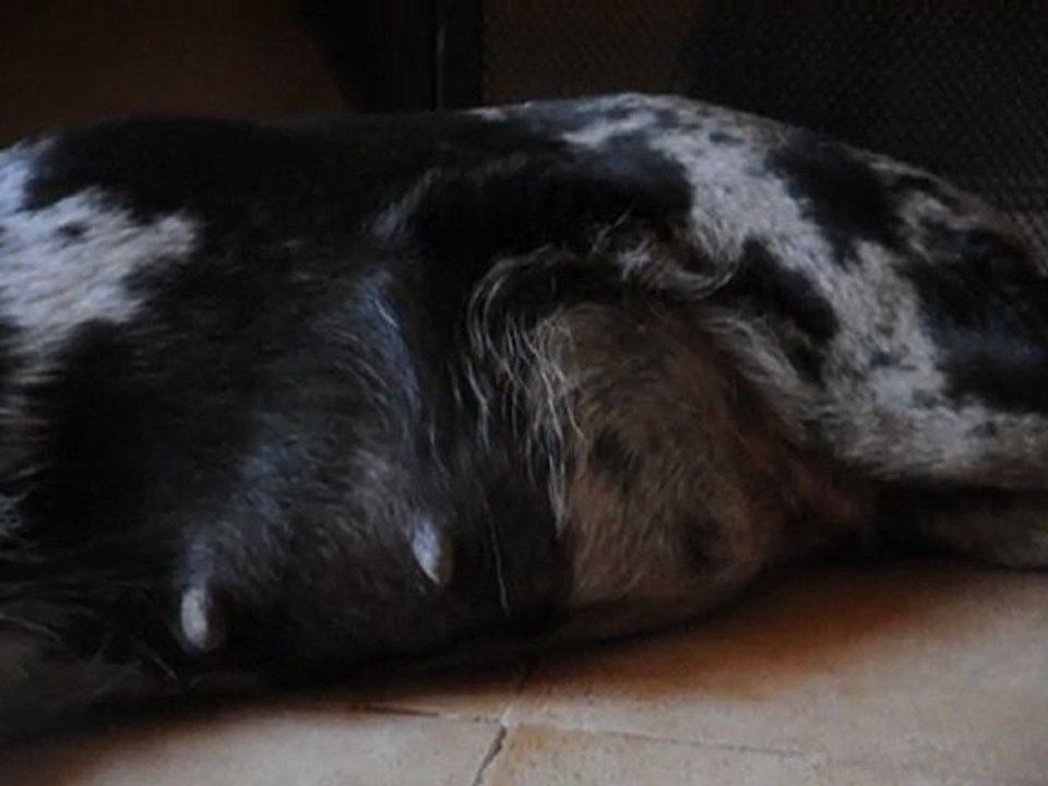 ça bouge là dedans