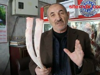 BOĞANIN ÇATAL ŞEKLİNDEKİ KABURGA KEMİĞİ KASABI ŞAŞIRTTI