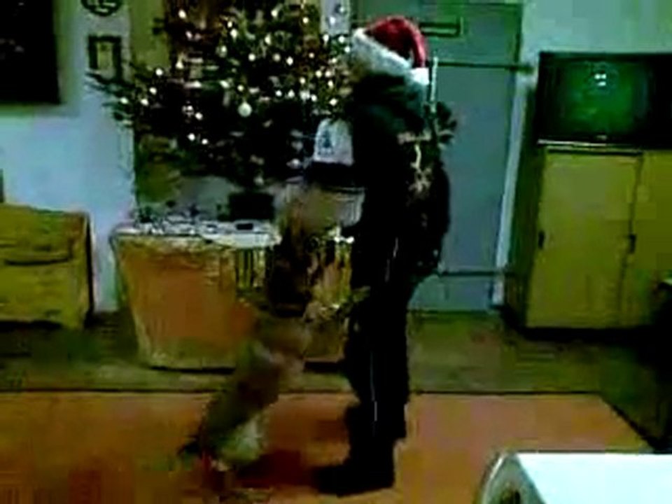 Der Weihnachtsmann und Julie