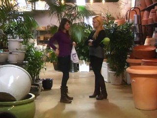 What She's Got - Tales Of The Swedish Diet