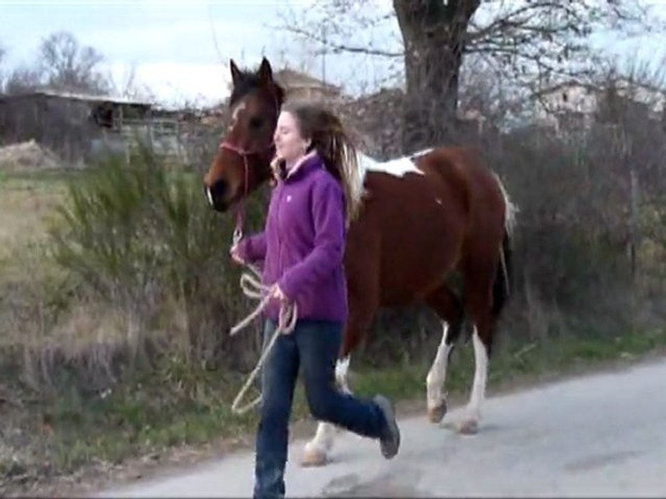 raya trot
