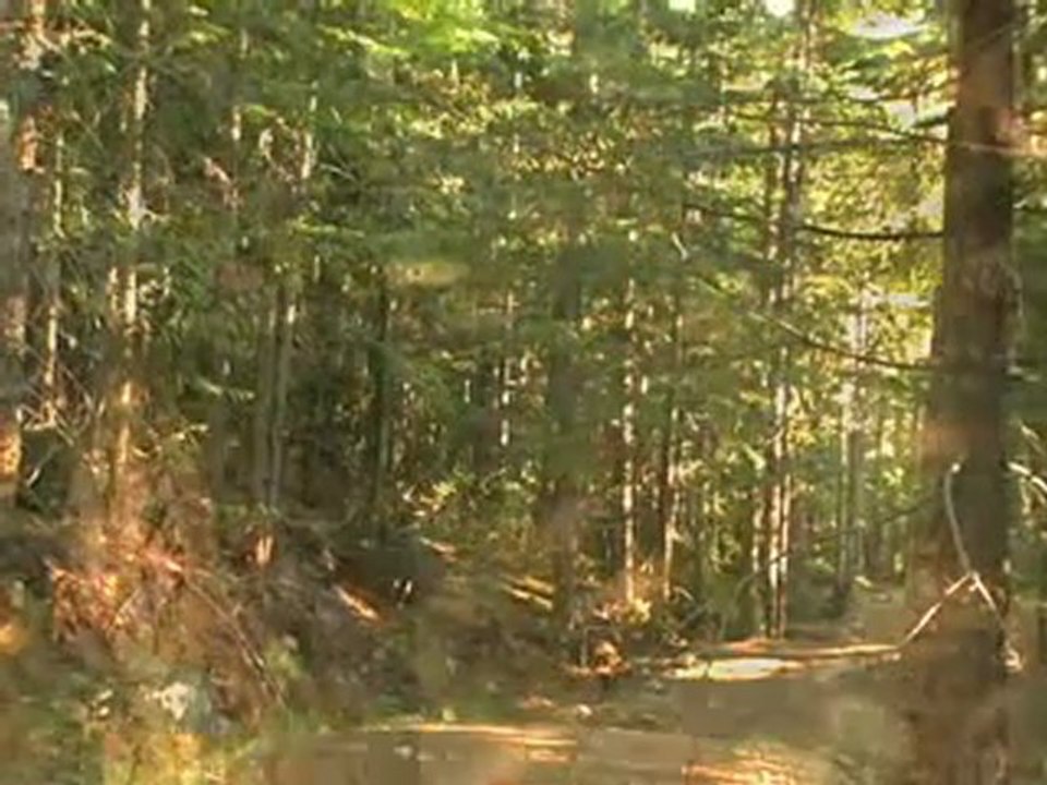 NORCO's Dylan and Mislav ride Whistler - 2008 Crankworx