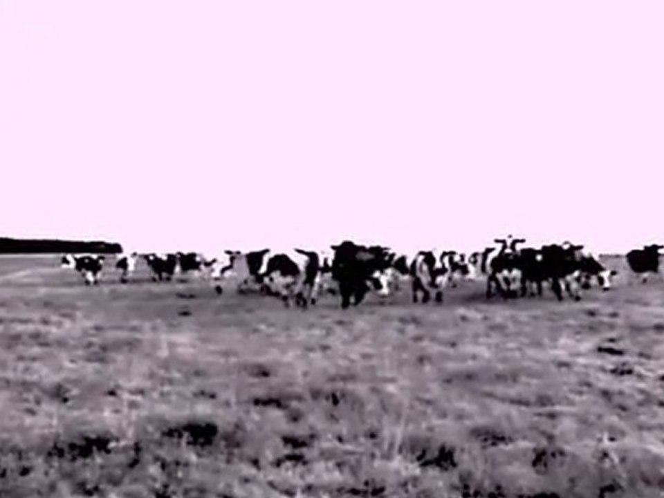 GrandJacques ~ Les pieds, les poings liés