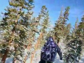 Stash -Fresh Pow Heavenly, Lake Tahoe