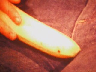 Ce film n'est pas totalement une arnaque