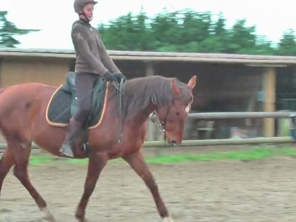 2011-02-12 Sophie & Félie