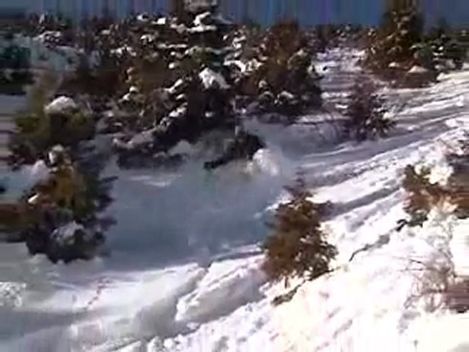 Telemark Skiing Rangers