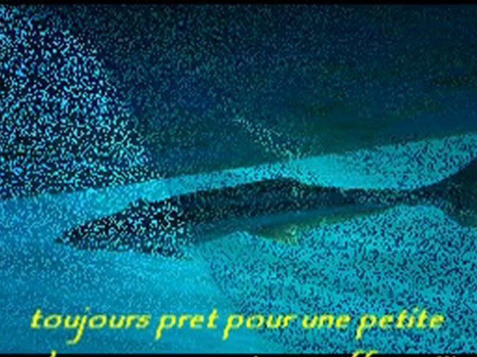 push pour internet
