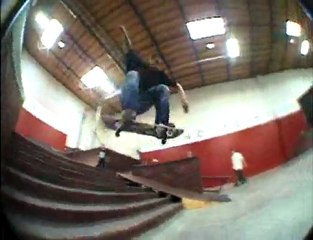 Paul Rodriguez - Team Park