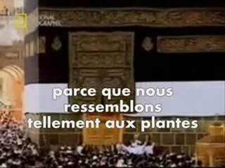 Sheikh Abd'ul-Hamid Kishk - Théologie islamique 2/4