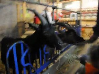 Ca, c'est un bon paysan!