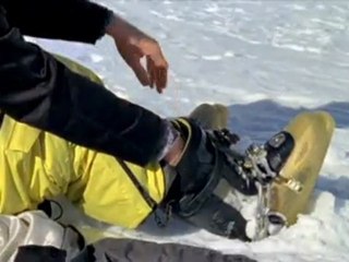 Tanner Hall 2008 Season Recap