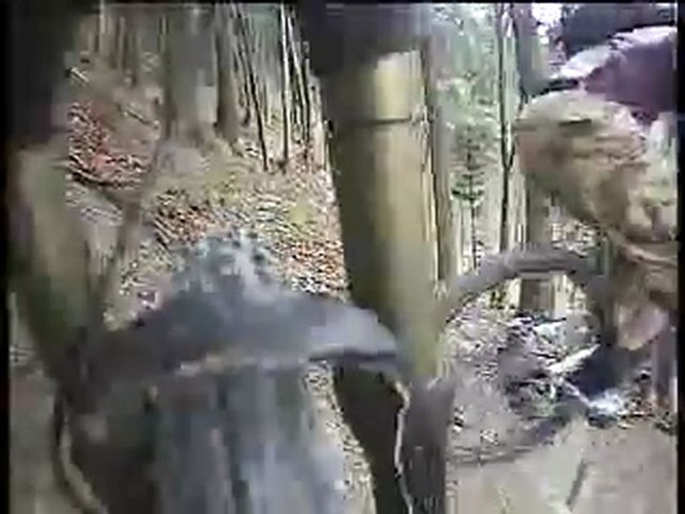 Mountain Biking, Freeriding Switzerland