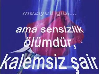 BiR YOLUN KENARINA MEZARIMI KAZSINLAR