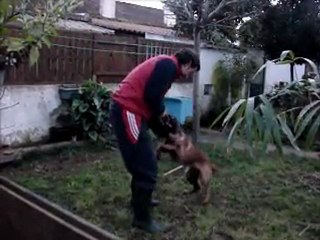 tica 5 mths-2