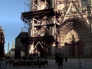 EXPOSITION PARFUMS de NANTES 2011