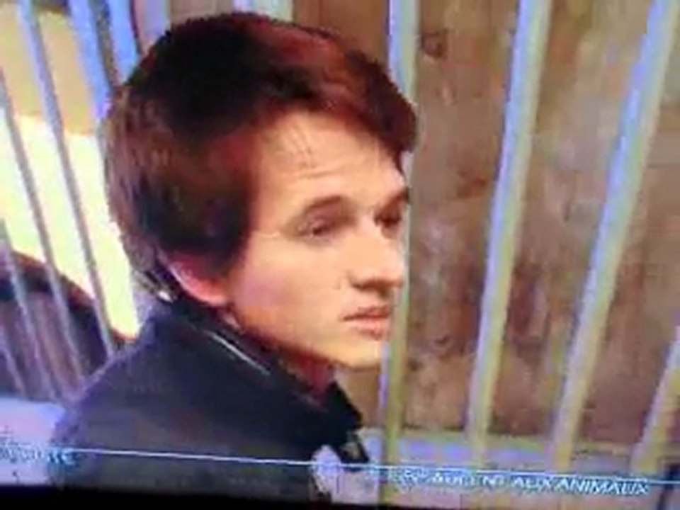 jean françois pignon et ses chevaux !!!!