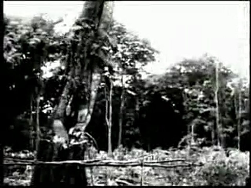 Le premier Rasta (Doc. bande annonce)