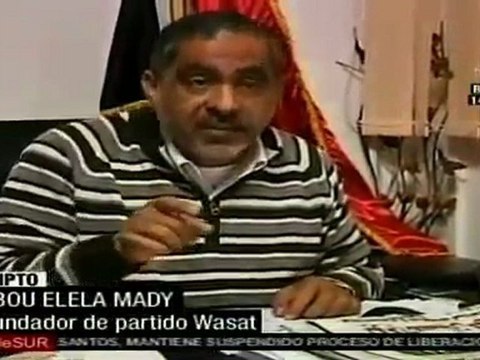 Piden más tiempo para preparar elecciones parlamentarias en Egipto