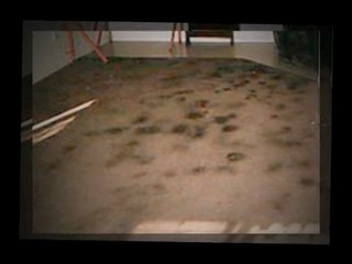 Finding The Right Carpet Cleaners Chicago Il