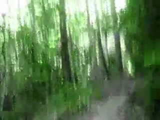 A Short but nice ride...