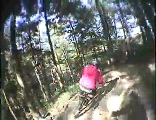 Cruisin' Autobahn at Blue Mountain