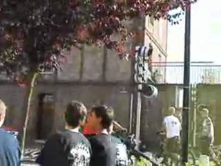 freeride + dirt jumps+bmx +downhillin from around the world
