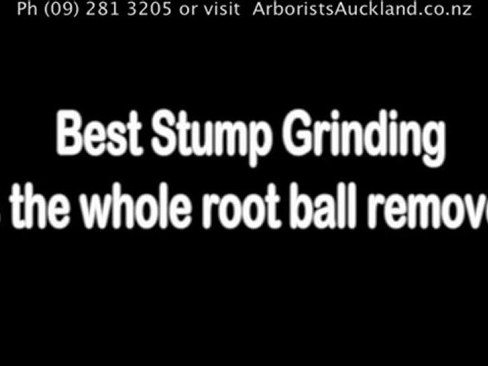 Stump Grinding Auckland | Ph (09) 281 3205 for a Free Auckl