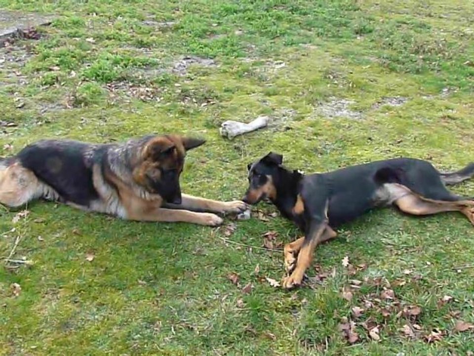 jeu entre Eris et Aïna 2