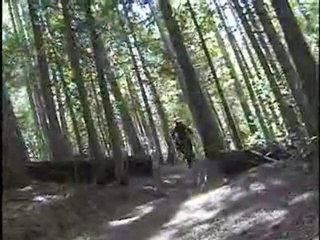 Fernie Alpine Resort - Mountain Bike