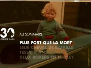 Sommaire émission 30 millions d'amis du 19 fevrier 2011