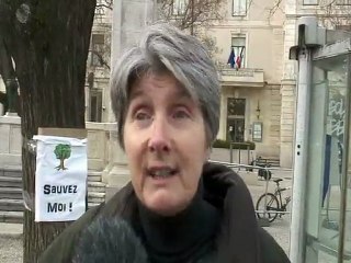 NIMES :"A mort les arbres"