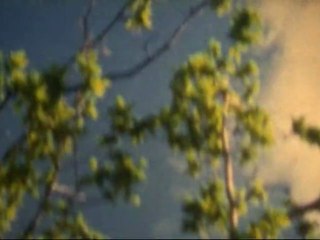 THE PASTELS / TENNISCOATS “Vivid Youth” (2009)