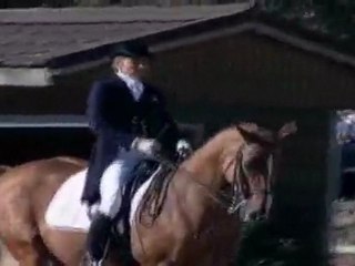 Equitation FFE , preparez vous