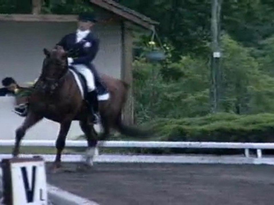 Galop 6 dressage et preparation