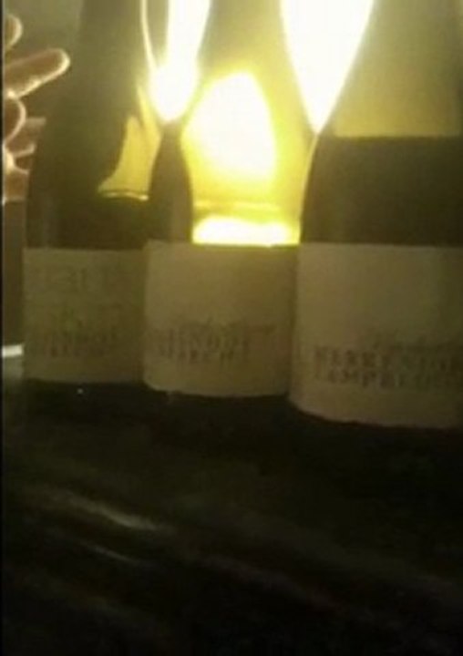 Marco Zanettis Wein Statement