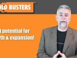 Mold Busters mold removal franchise business opportunity