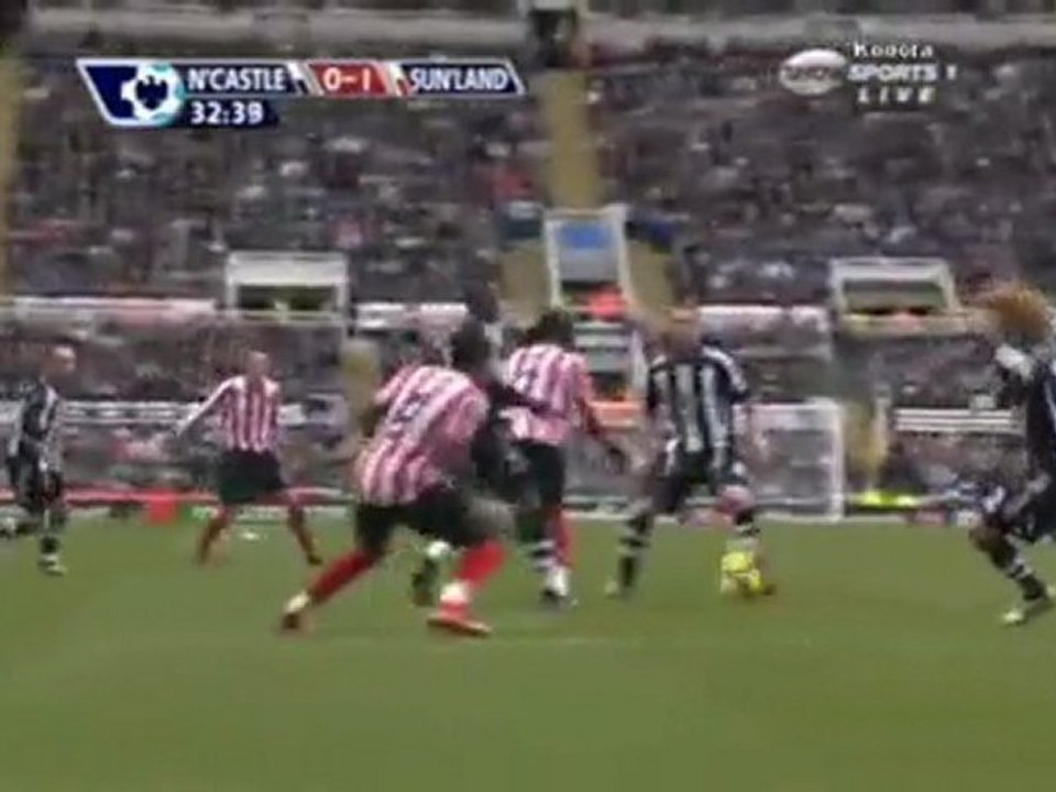 Djibril Cisse goal - Newcastle United-2 (9) 2008 2009
