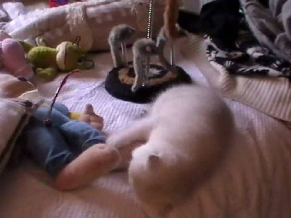 Ghost se prend pour un cascadeur!!!