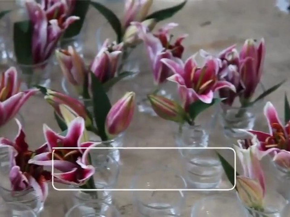 Event uddannelse