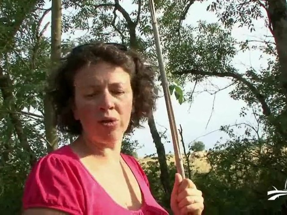 Pêche de l'écrevisse dans le Marais poitevin