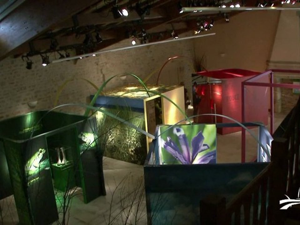 Découverte de la Maison du Marais poitevin à Coulon (79)