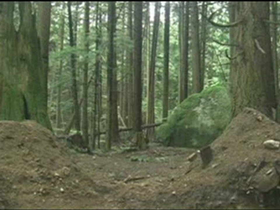 Jumps in Woods