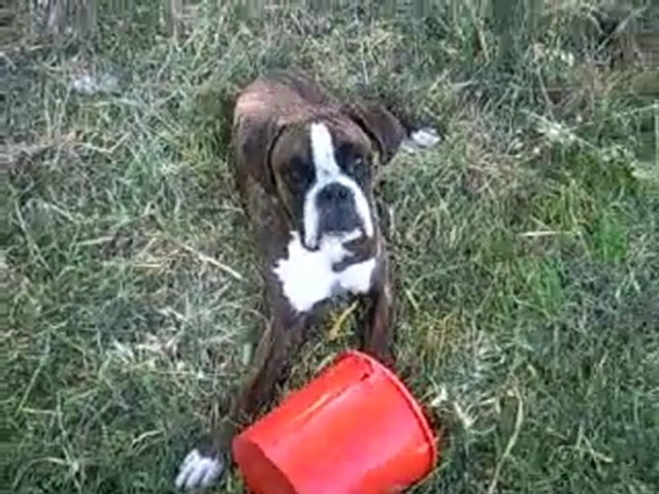dreamounet