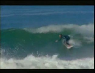 186 - Dane Reynolds signature boardshort profile