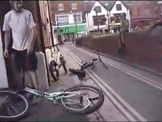 ZOO TRIAL crashes