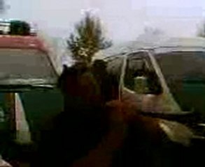 samsun carsamba davul zurna