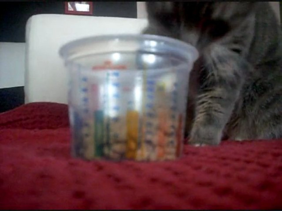 Je mange comme je veux !