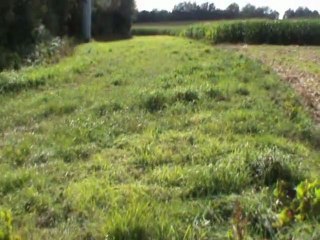 algues vertes (part. 2/4)